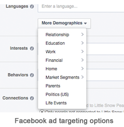 facebook-ad-targeting.png